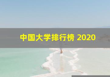 中国大学排行榜 2020